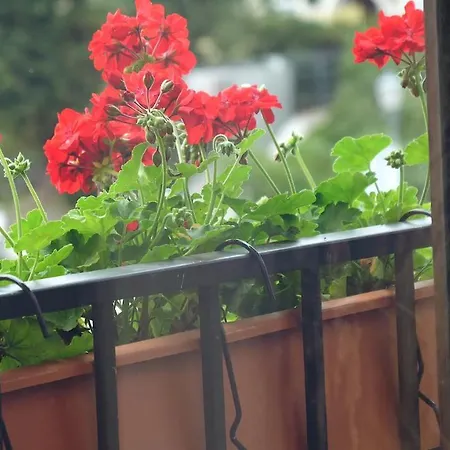 Jono Kalnelis Apartmanhotel Klaipėda