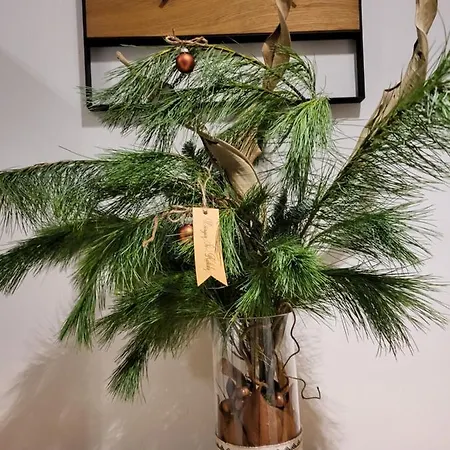 Jono Kalnelis Apartmanhotel