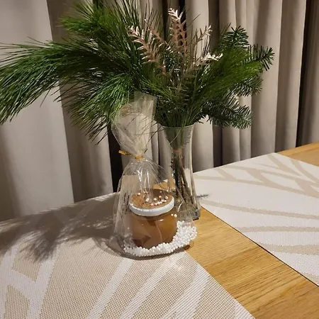 Aparthotel Jono Kalnelis 4*