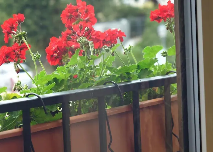 Jono Kalnelis Ξενοδοχείο με διαμερίσματα Κλαϊπέντα