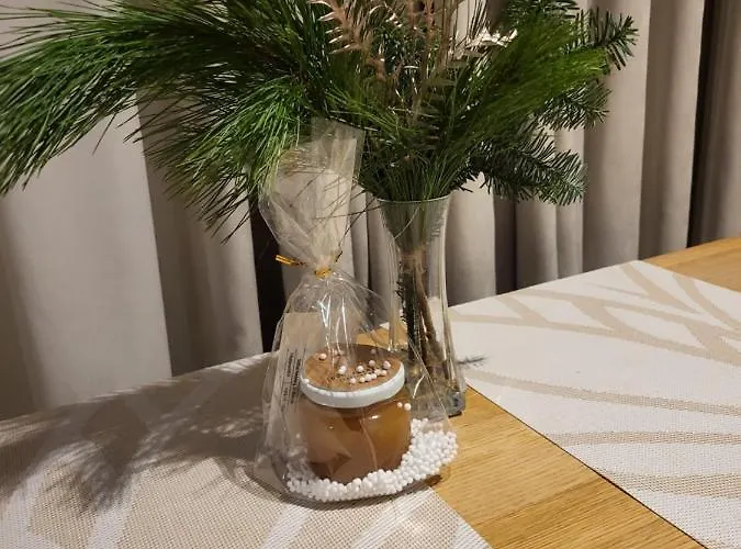 Ξενοδοχείο με διαμερίσματα Jono Kalnelis 4*