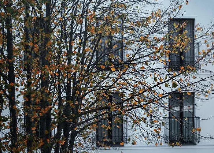 Ξενοδοχείο με διαμερίσματα Jono Kalnelis Κλαϊπέντα